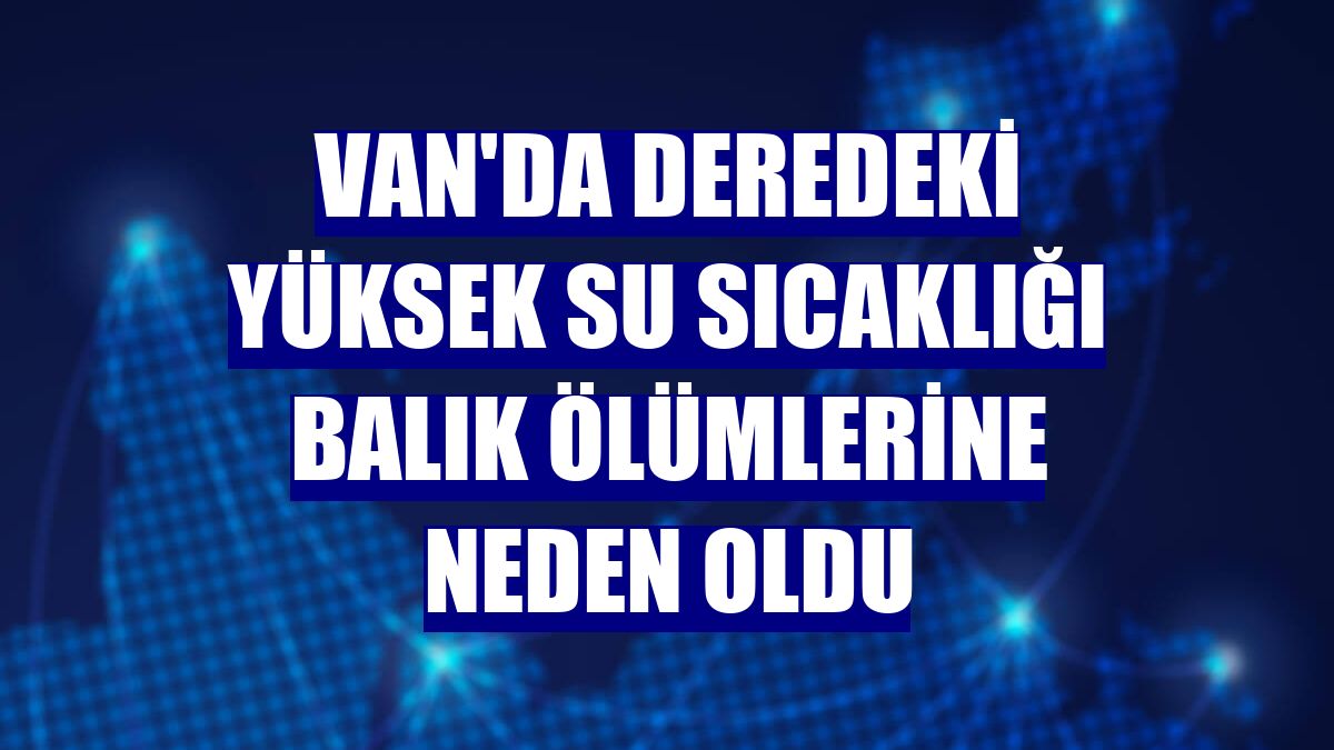 Van'da deredeki yüksek su sıcaklığı balık ölümlerine neden oldu