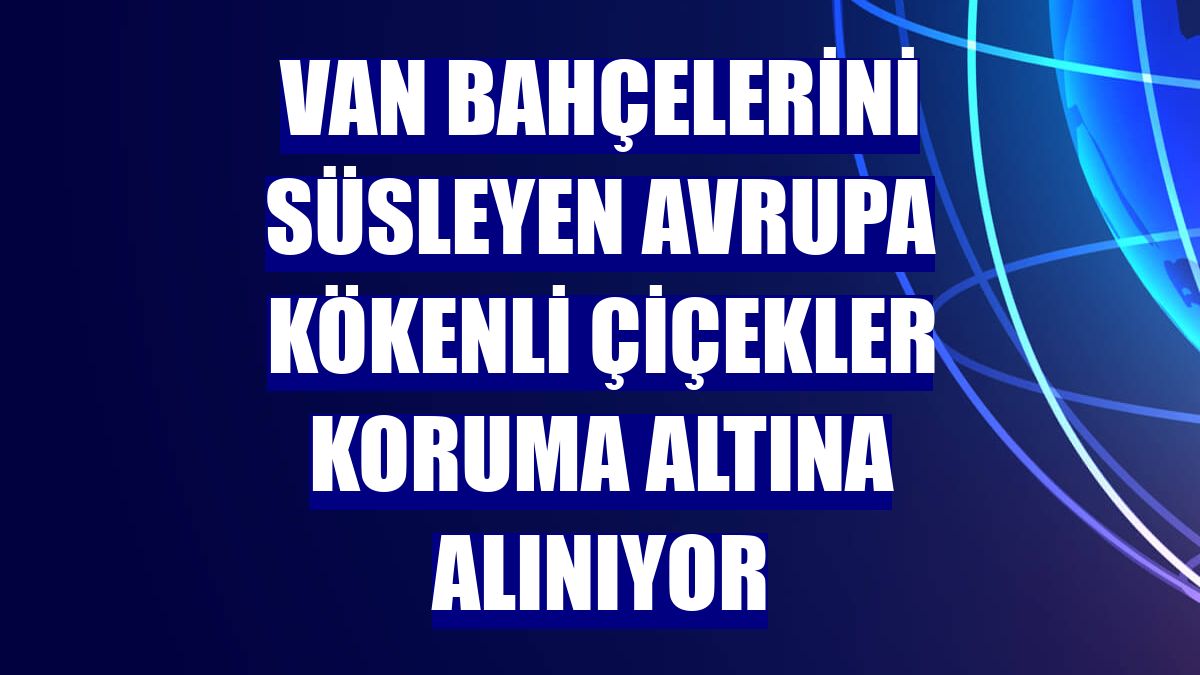 Van bahçelerini süsleyen Avrupa kökenli çiçekler koruma altına alınıyor