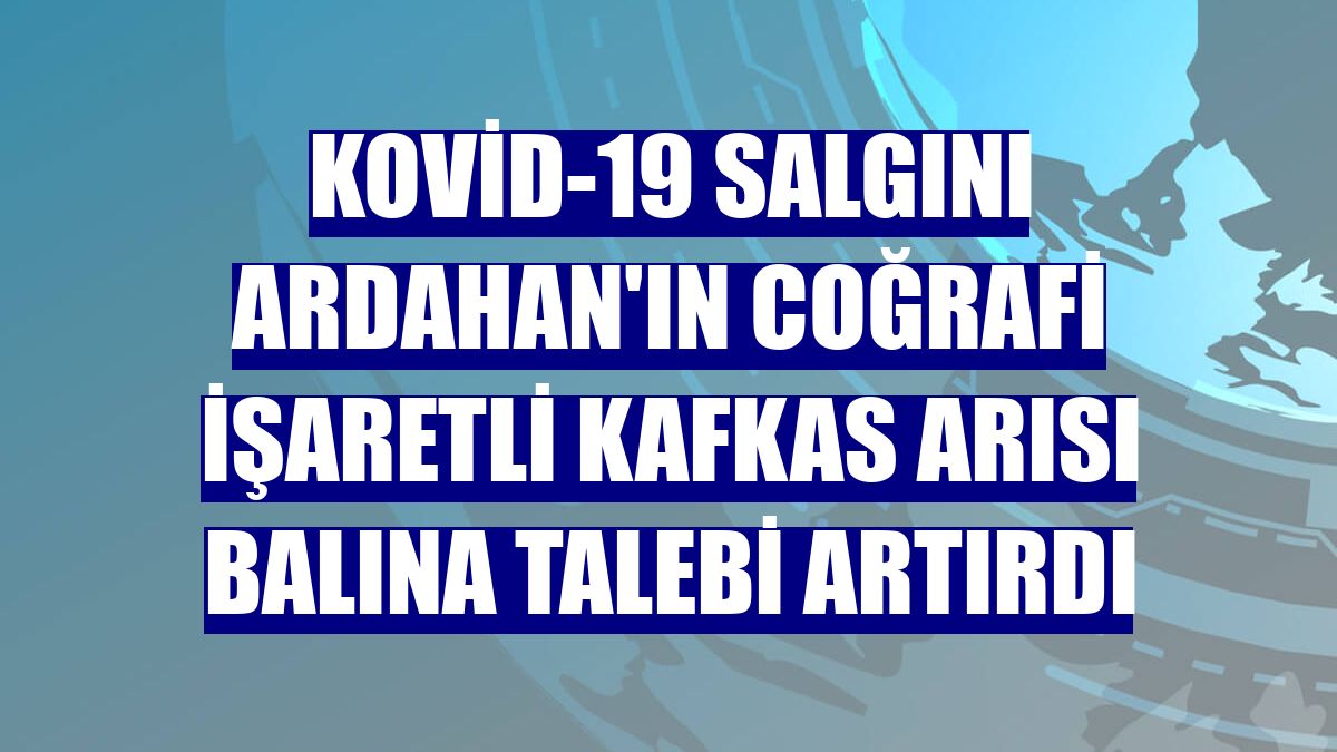 Kovid-19 salgını Ardahan'ın coğrafi işaretli Kafkas arısı balına talebi artırdı