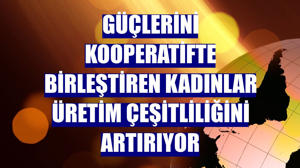 Güçlerini kooperatifte birleştiren kadınlar üretim çeşitliliğini artırıyor