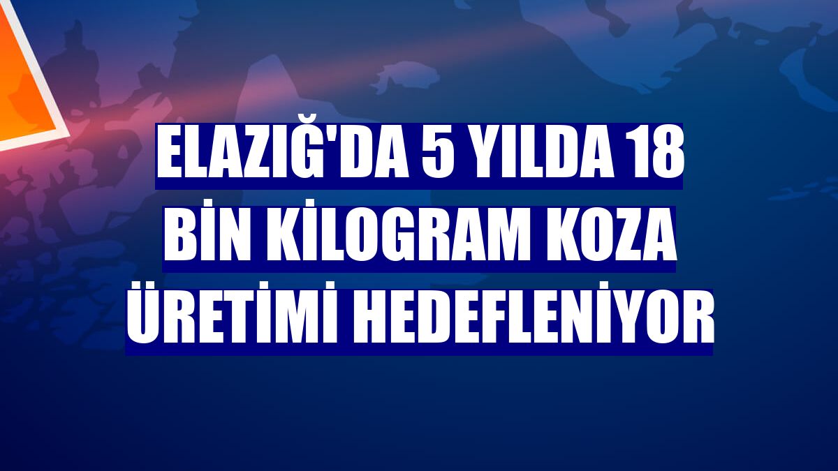Elazığ'da 5 yılda 18 bin kilogram koza üretimi hedefleniyor