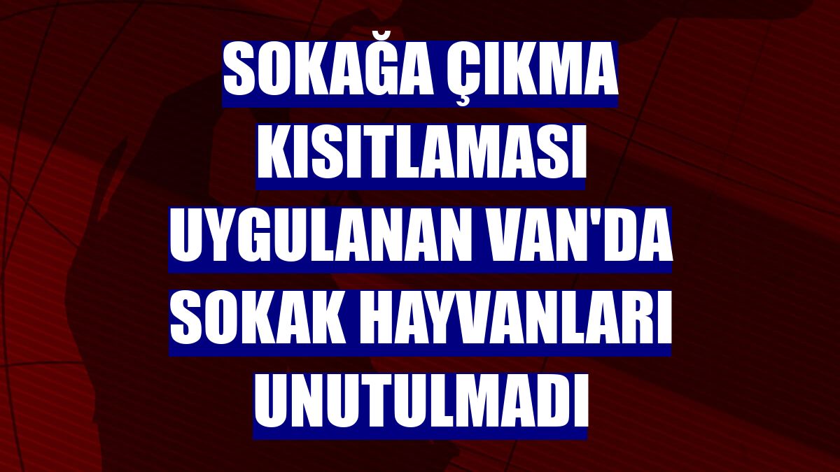 Sokağa çıkma kısıtlaması uygulanan Van'da sokak hayvanları unutulmadı
