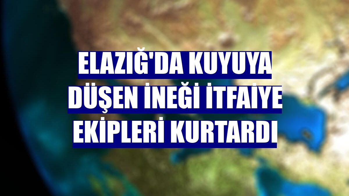 Elazığ'da kuyuya düşen ineği itfaiye ekipleri kurtardı