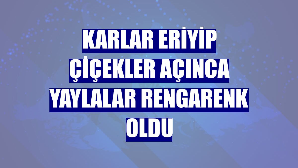Karlar eriyip çiçekler açınca yaylalar rengarenk oldu