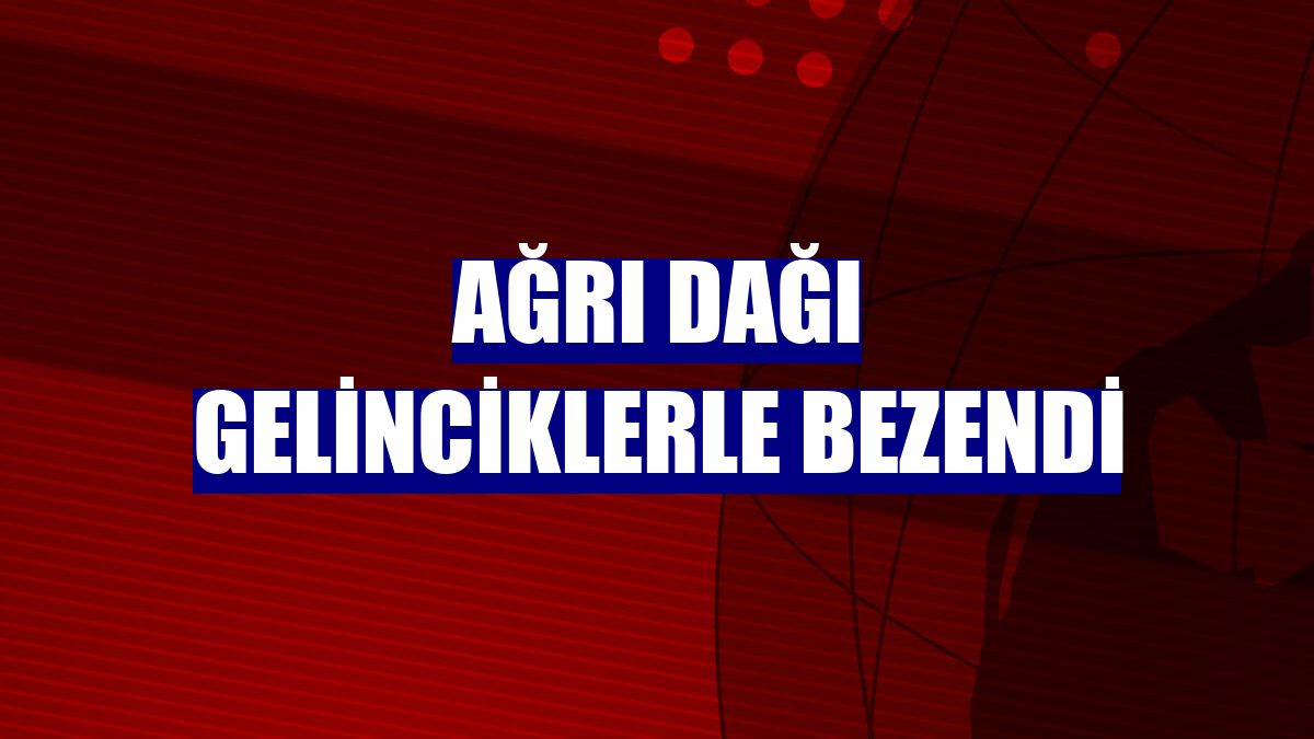 Ağrı Dağı gelinciklerle bezendi