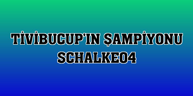 Tivibucup'ın şampiyonu Schalke04