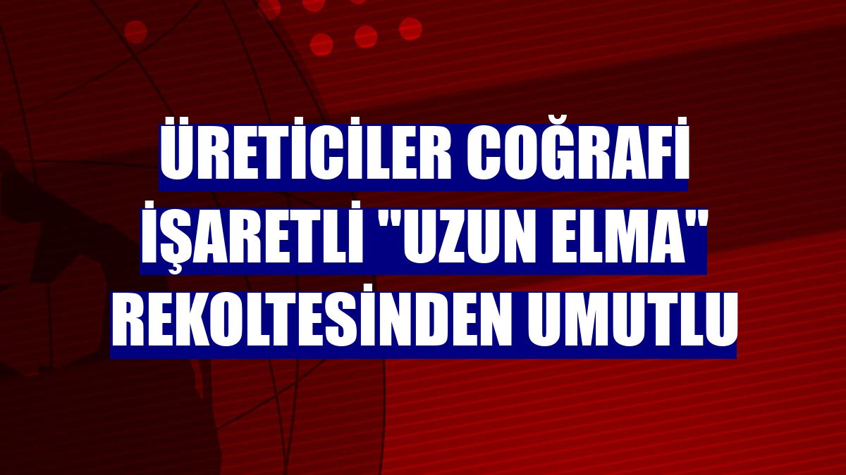 Üreticiler coğrafi işaretli "uzun elma" rekoltesinden umutlu