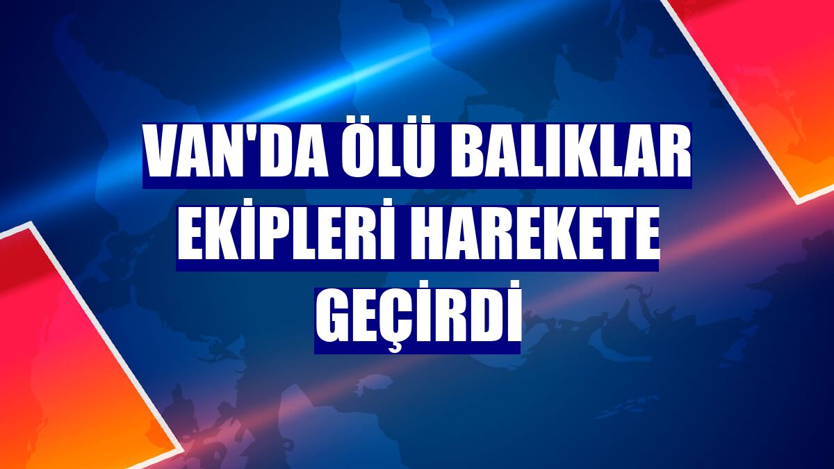 Van'da ölü balıklar ekipleri harekete geçirdi