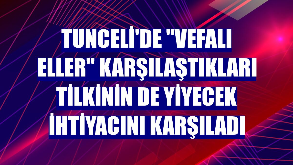 Tunceli'de "Vefalı eller" karşılaştıkları tilkinin de yiyecek ihtiyacını karşıladı
