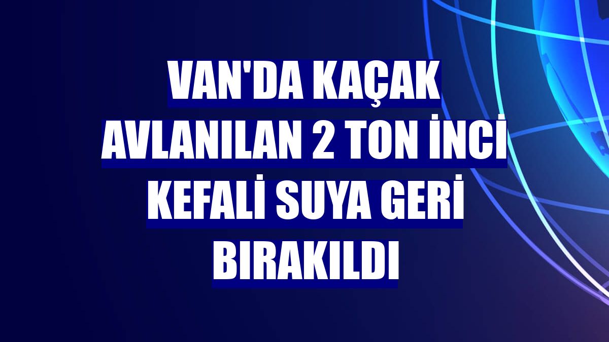 Van'da kaçak avlanılan 2 ton inci kefali suya geri bırakıldı