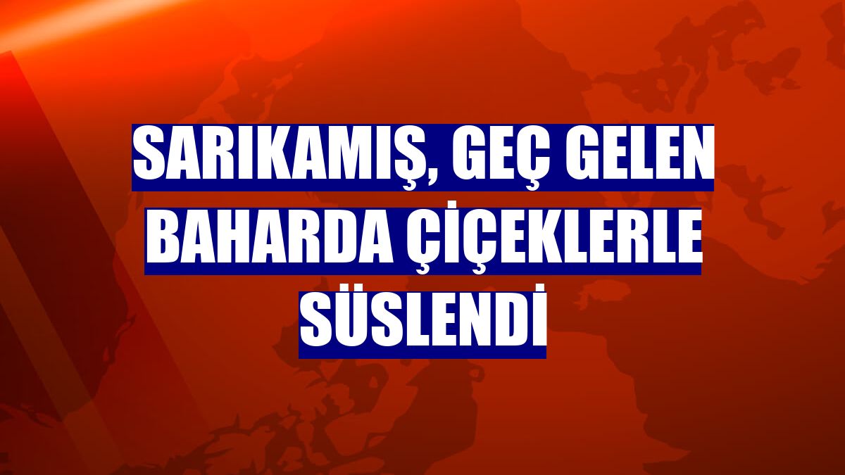 Sarıkamış, geç gelen baharda çiçeklerle süslendi