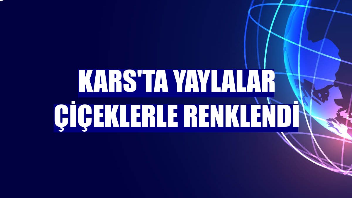 Kars'ta yaylalar çiçeklerle renklendi