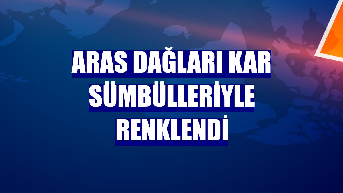 Aras Dağları kar sümbülleriyle renklendi