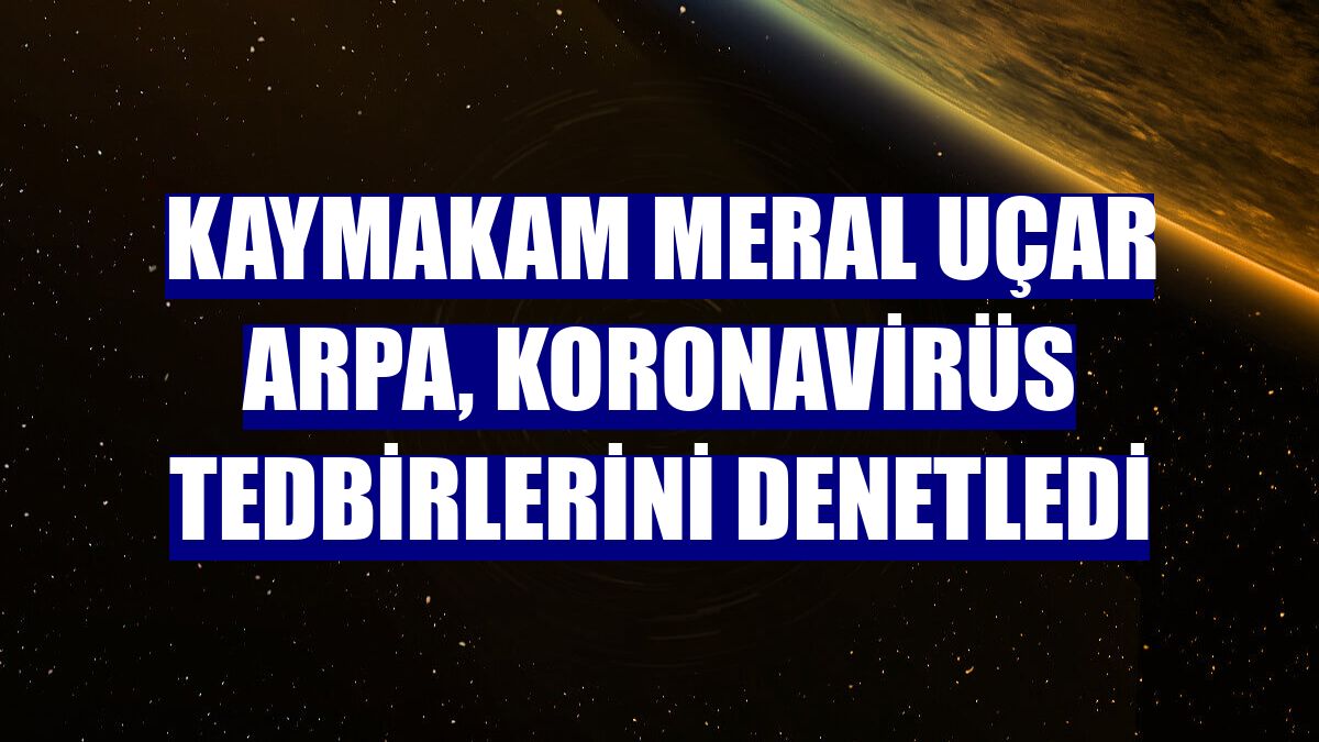 Kaymakam Meral Uçar Arpa, koronavirüs tedbirlerini denetledi