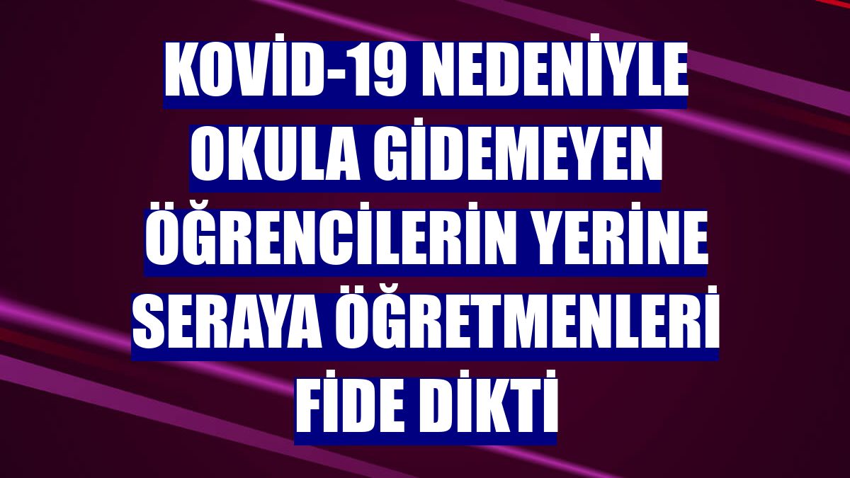 Kovid-19 nedeniyle okula gidemeyen öğrencilerin yerine seraya öğretmenleri fide dikti