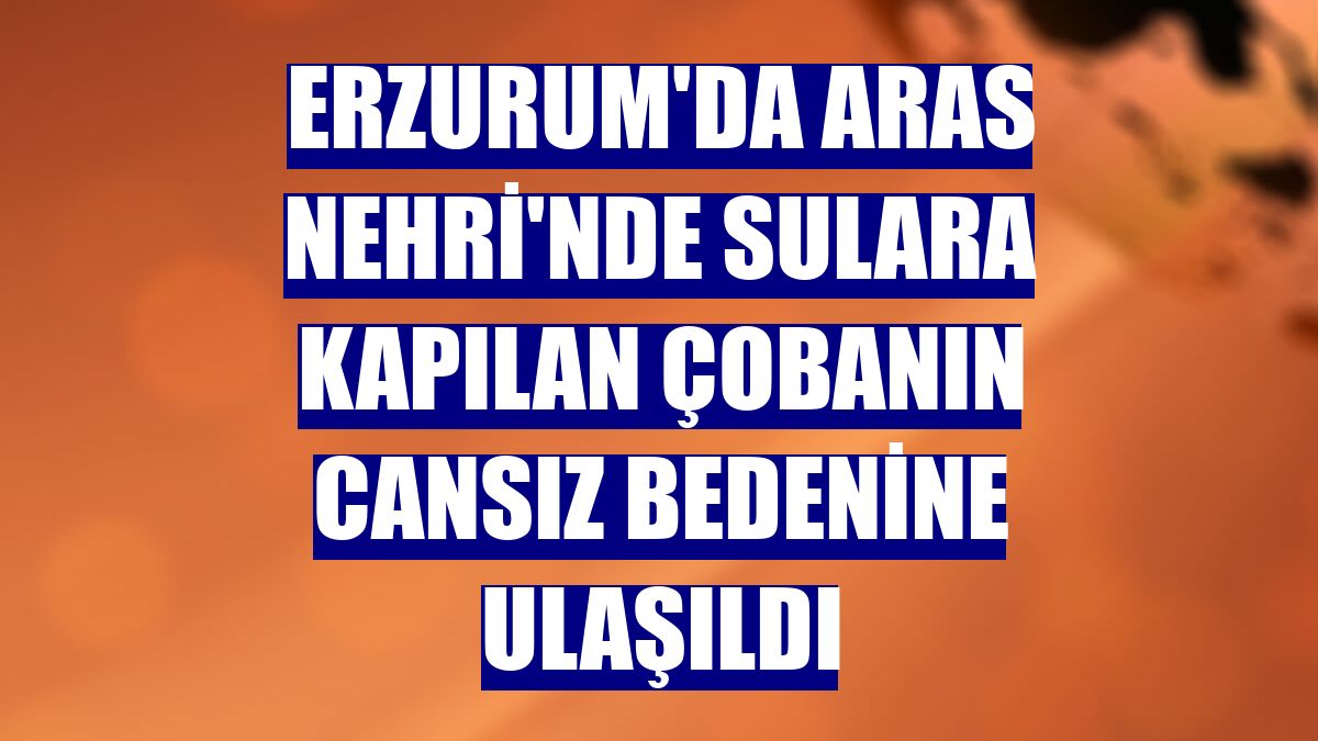 Erzurum'da Aras Nehri'nde sulara kapılan çobanın cansız bedenine ulaşıldı