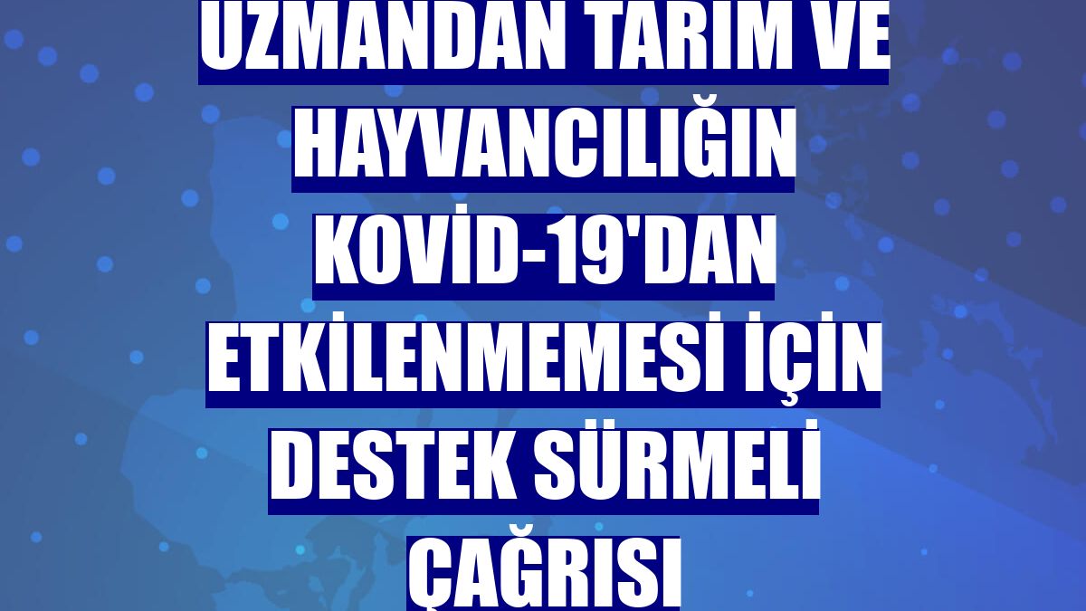 Uzmandan tarım ve hayvancılığın Kovid-19'dan etkilenmemesi için destek sürmeli çağrısı