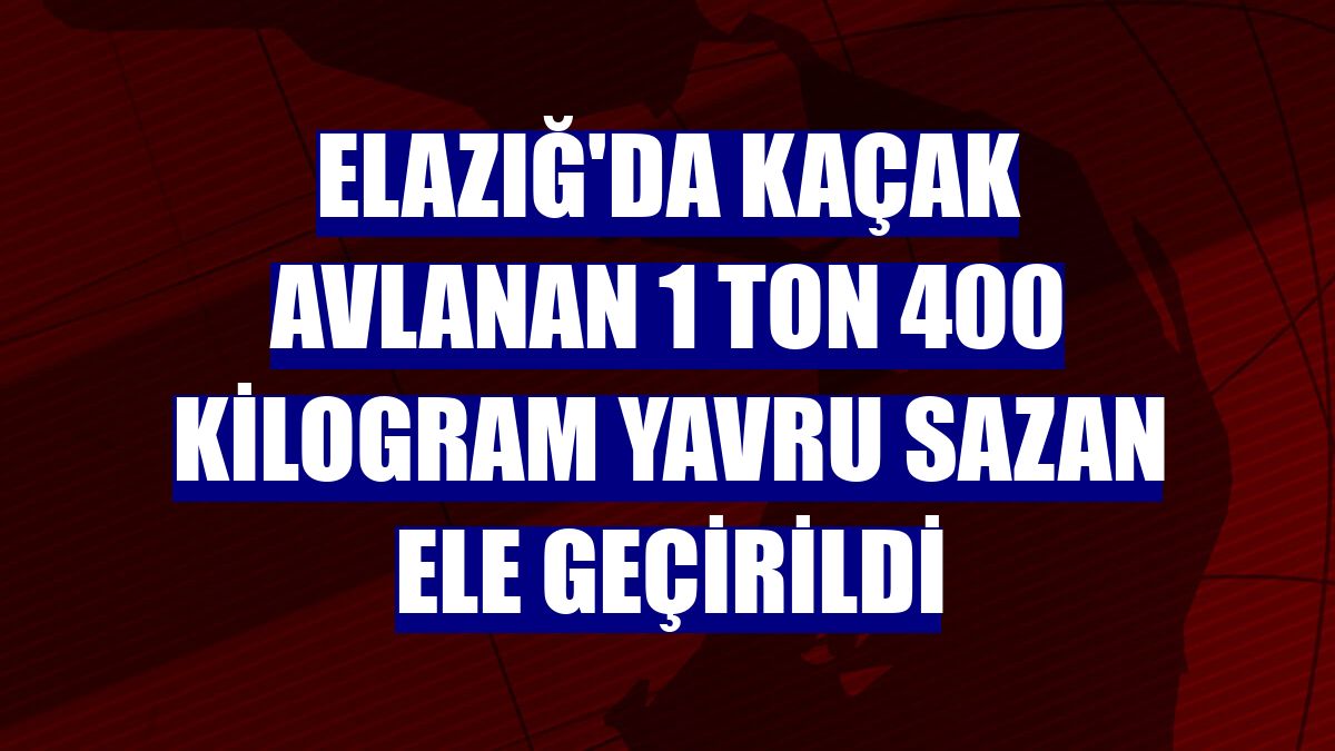 Elazığ'da kaçak avlanan 1 ton 400 kilogram yavru sazan ele geçirildi