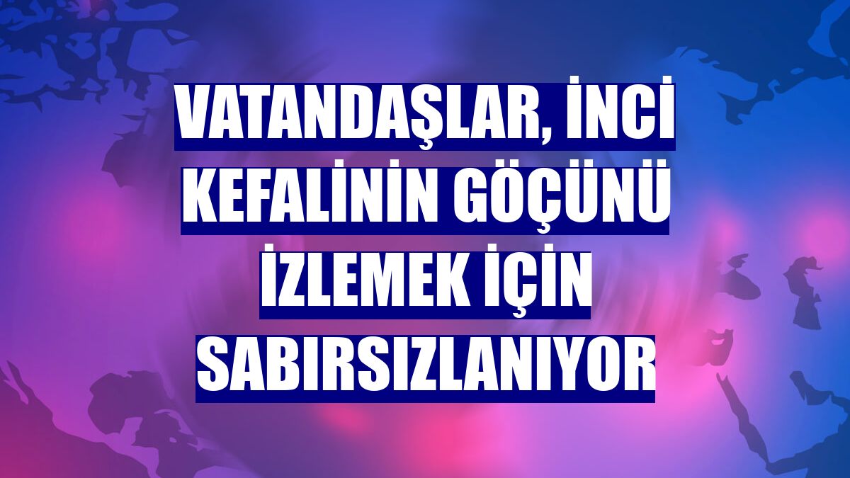 Vatandaşlar, inci kefalinin göçünü izlemek için sabırsızlanıyor