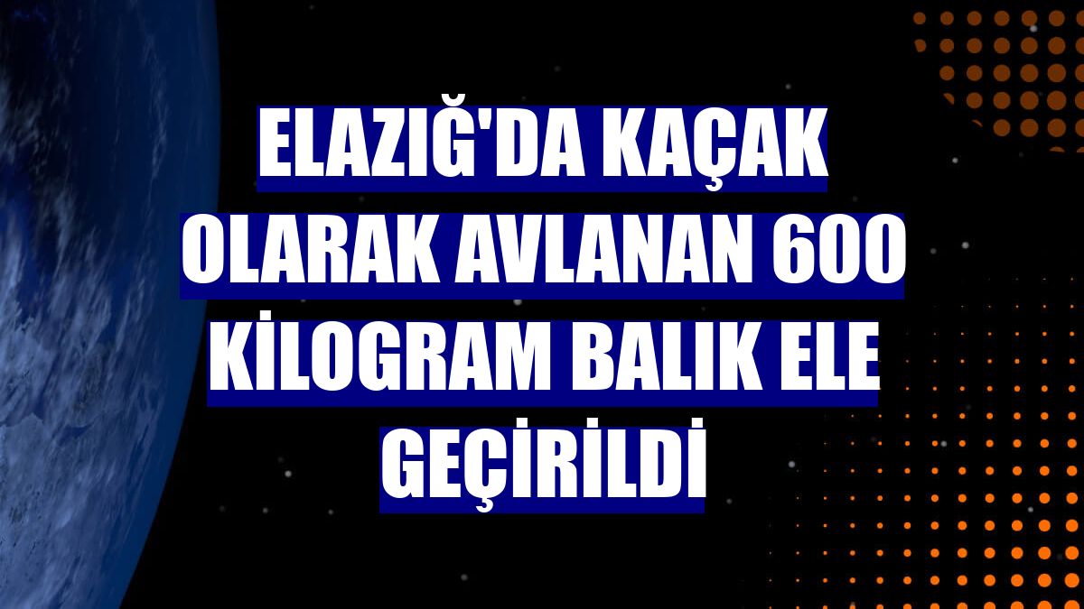 Elazığ'da kaçak olarak avlanan 600 kilogram balık ele geçirildi