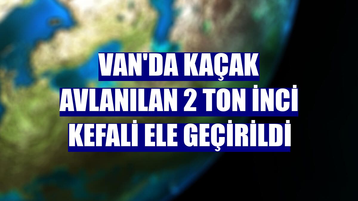 Van'da kaçak avlanılan 2 ton inci kefali ele geçirildi