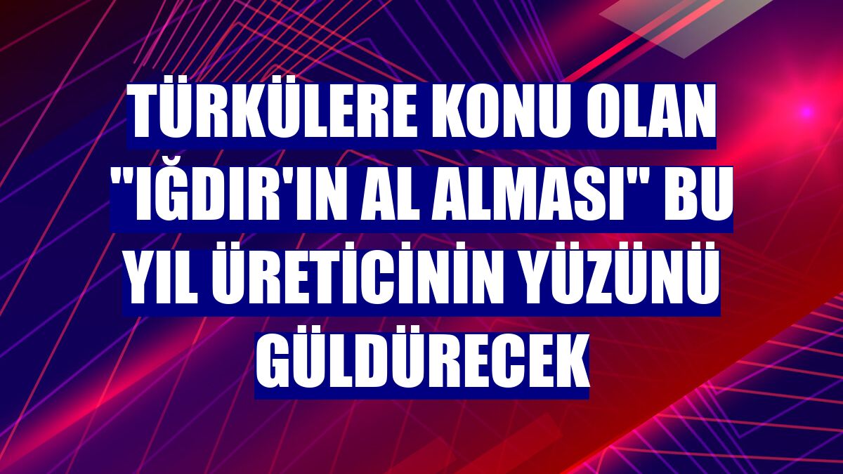 Türkülere konu olan "Iğdır'ın al alması" bu yıl üreticinin yüzünü güldürecek