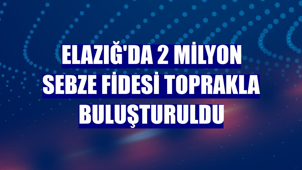 Elazığ'da 2 milyon sebze fidesi toprakla buluşturuldu