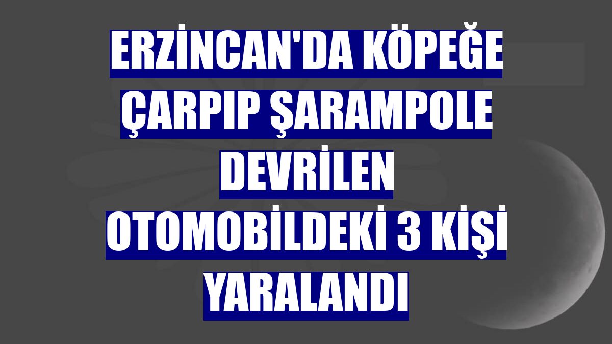 Erzincan'da köpeğe çarpıp şarampole devrilen otomobildeki 3 kişi yaralandı