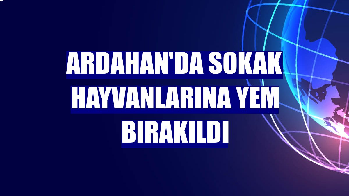 Ardahan'da sokak hayvanlarına yem bırakıldı