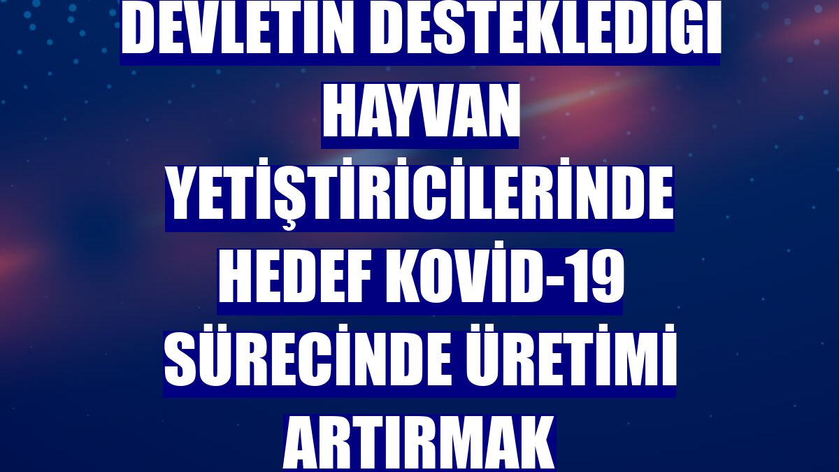 Devletin desteklediği hayvan yetiştiricilerinde hedef Kovid-19 sürecinde üretimi artırmak