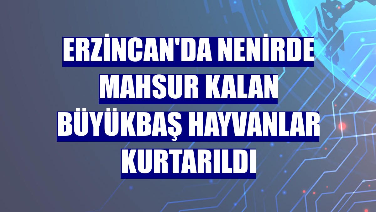 Erzincan'da nenirde mahsur kalan büyükbaş hayvanlar kurtarıldı
