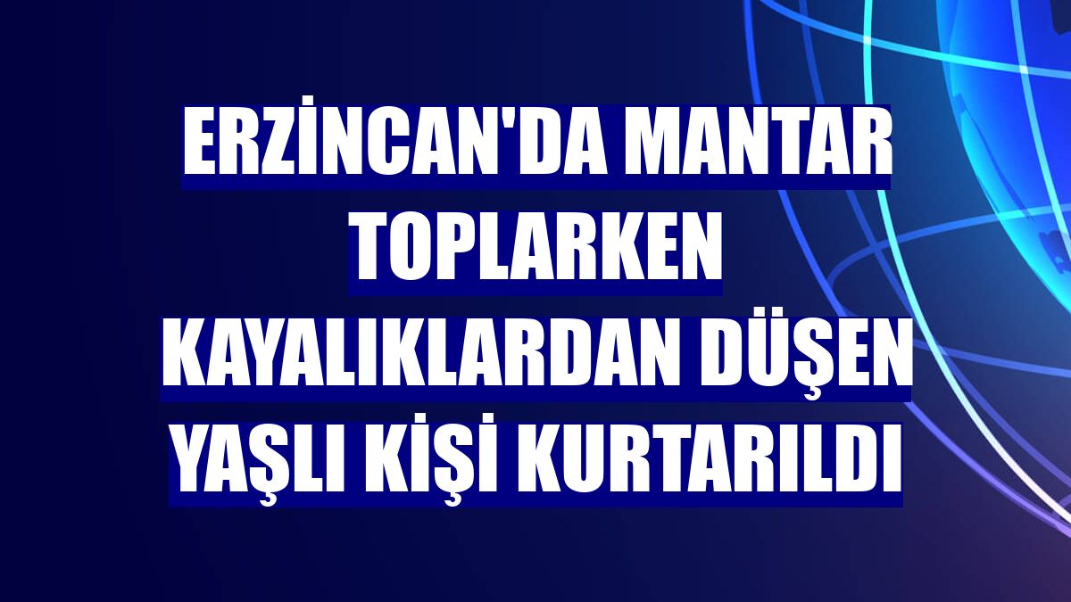 Erzincan'da mantar toplarken kayalıklardan düşen yaşlı kişi kurtarıldı