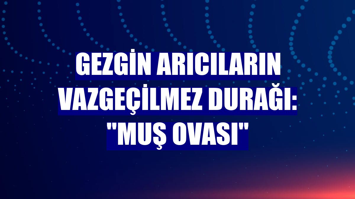 Gezgin arıcıların vazgeçilmez durağı: "Muş Ovası"