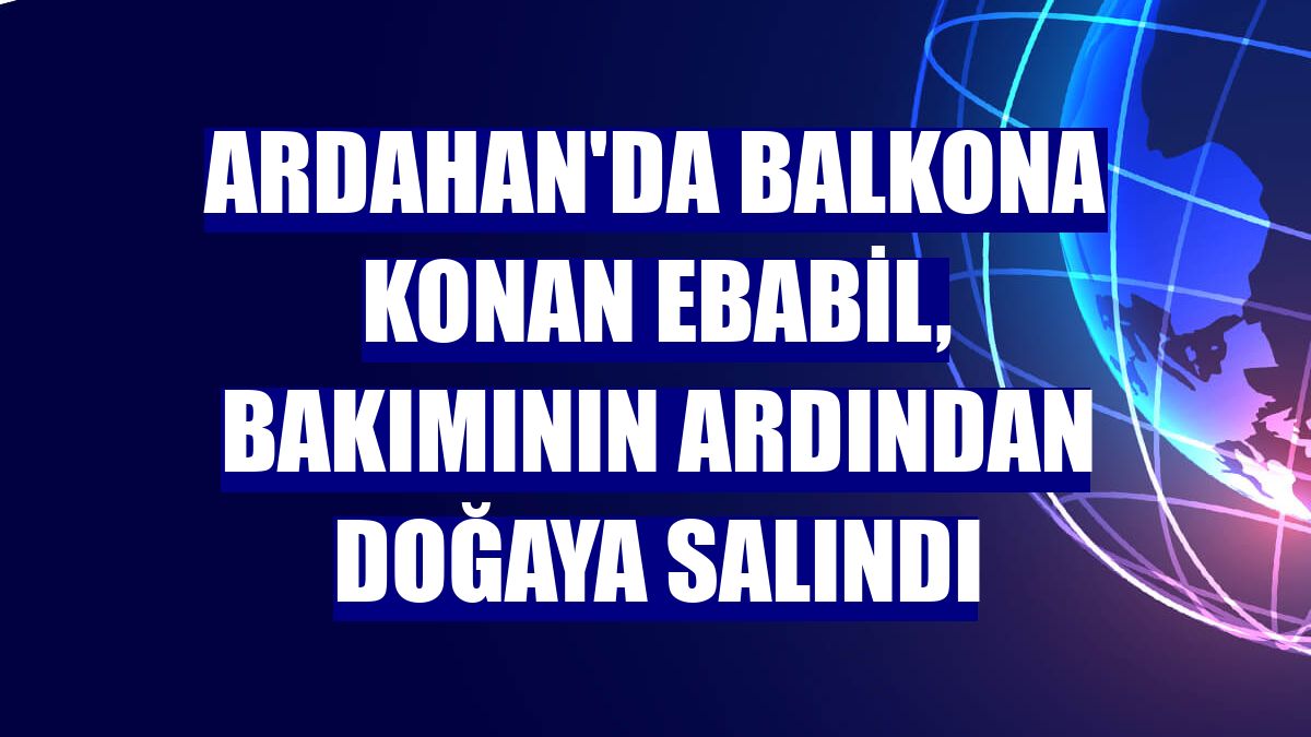 Ardahan'da balkona konan ebabil, bakımının ardından doğaya salındı
