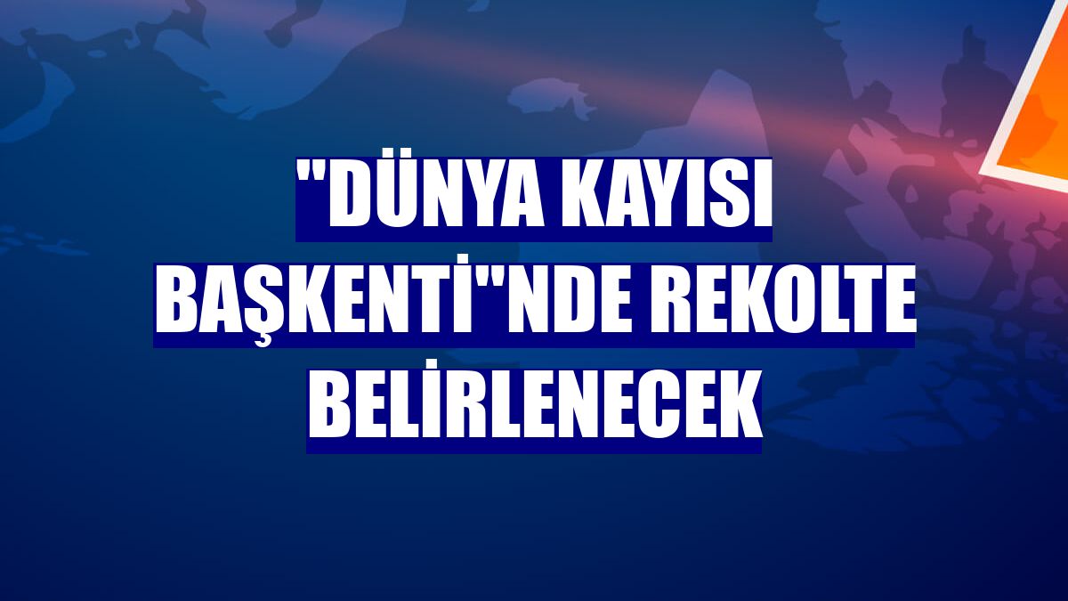 "Dünya kayısı başkenti"nde rekolte belirlenecek