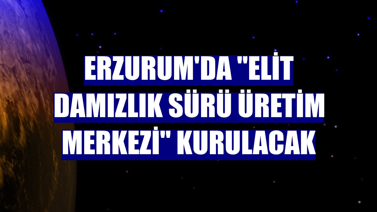 Erzurum'da "Elit Damızlık Sürü Üretim Merkezi" kurulacak