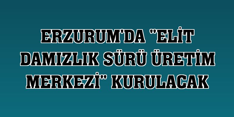 Erzurum'da 'Elit Damızlık Sürü Üretim Merkezi' kurulacak