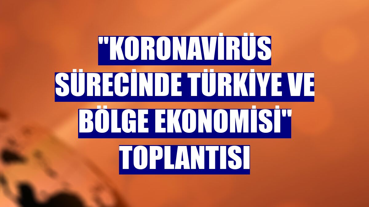 "Koronavirüs Sürecinde Türkiye ve Bölge Ekonomisi" toplantısı