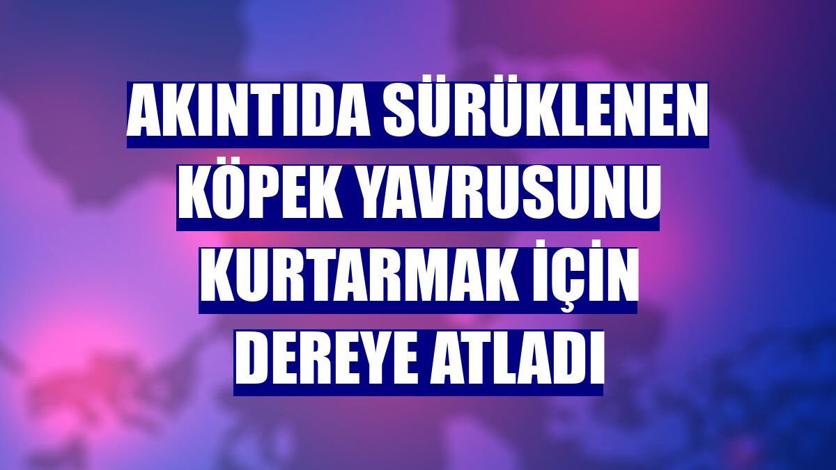 Akıntıda sürüklenen köpek yavrusunu kurtarmak için dereye atladı