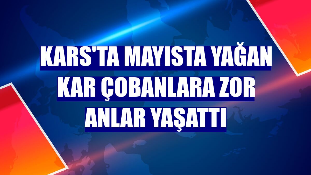 Kars'ta mayısta yağan kar çobanlara zor anlar yaşattı