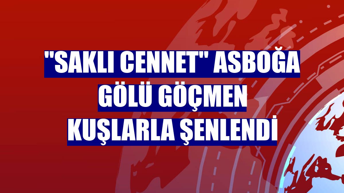 "Saklı cennet" Asboğa Gölü göçmen kuşlarla şenlendi