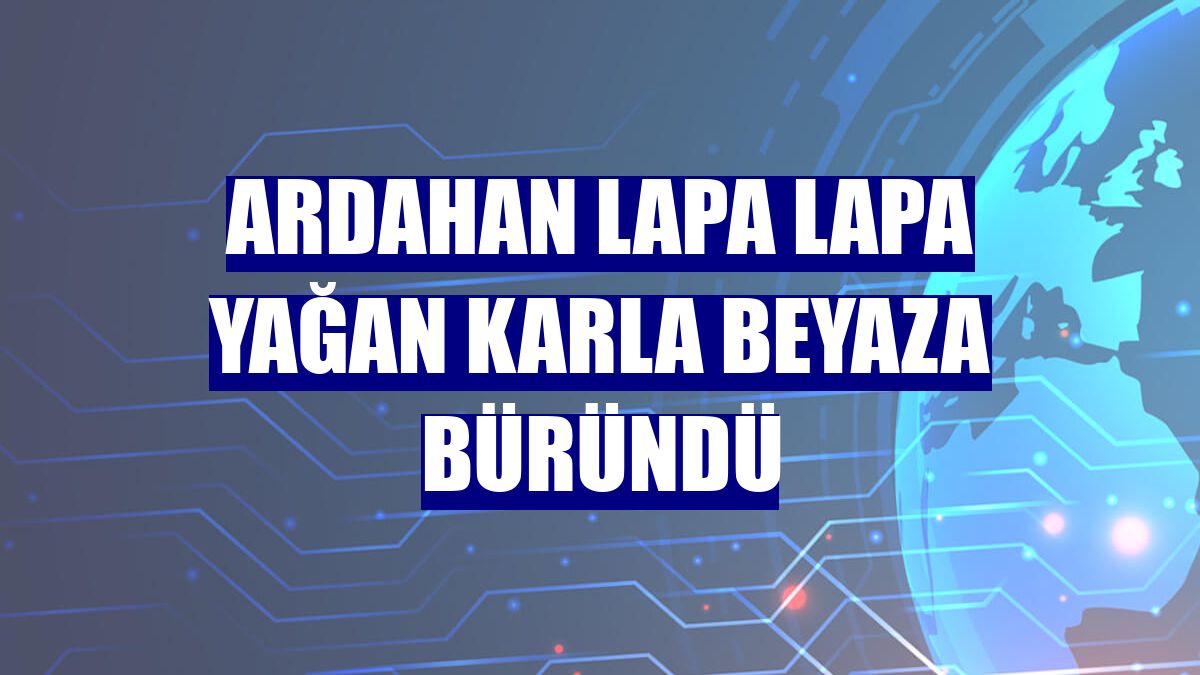 Ardahan lapa lapa yağan karla beyaza büründü