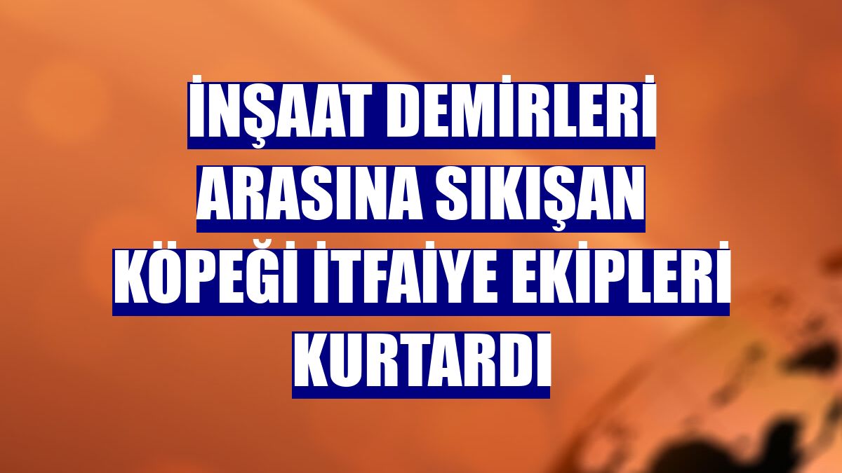 İnşaat demirleri arasına sıkışan köpeği itfaiye ekipleri kurtardı