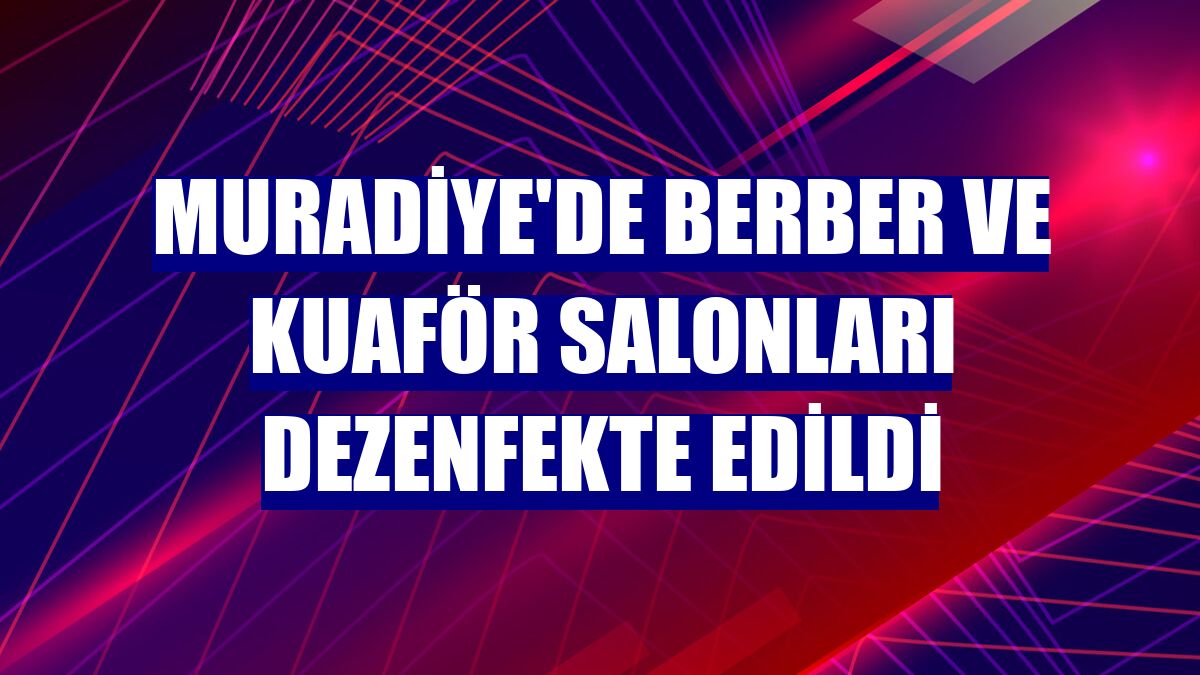 Muradiye'de berber ve kuaför salonları dezenfekte edildi
