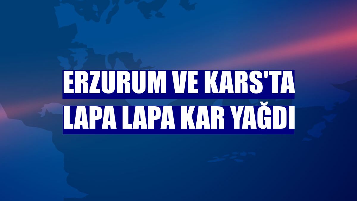 Erzurum ve Kars'ta lapa lapa kar yağdı