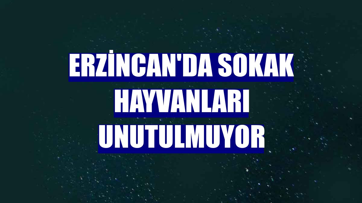 Erzincan'da sokak hayvanları unutulmuyor