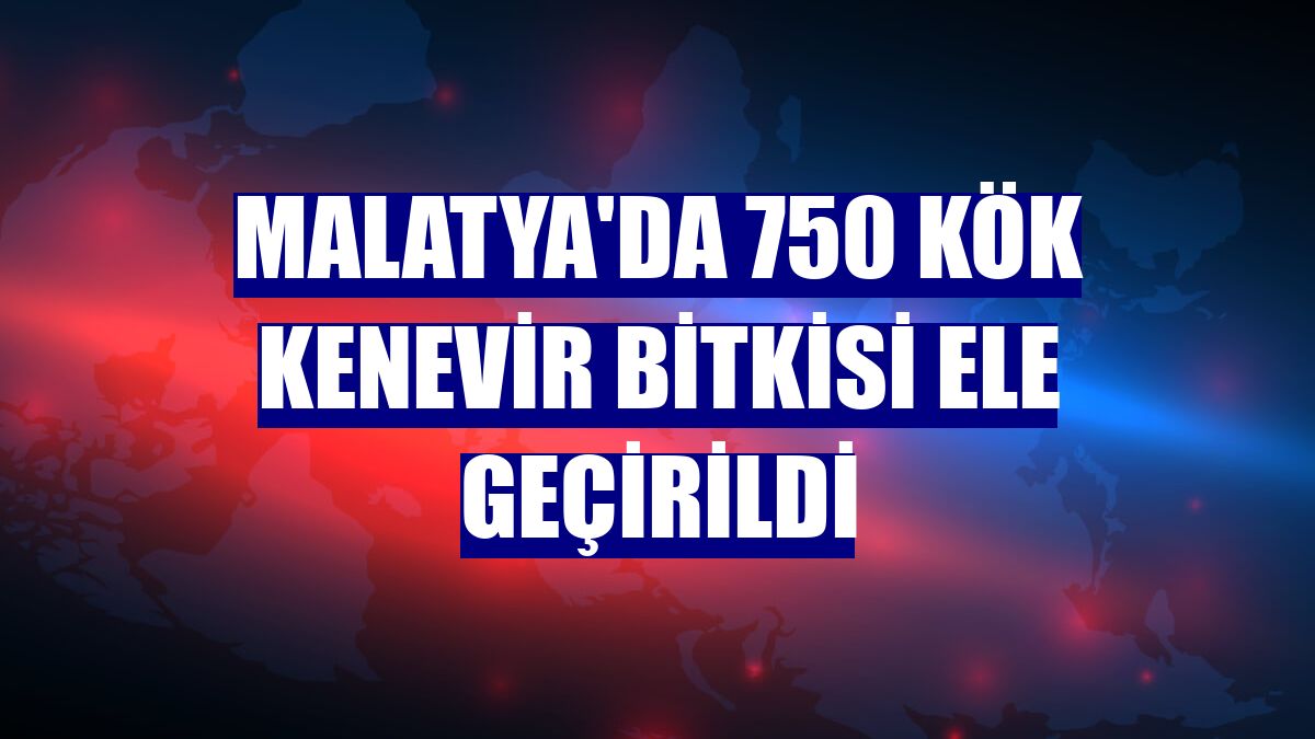Malatya'da 750 kök kenevir bitkisi ele geçirildi