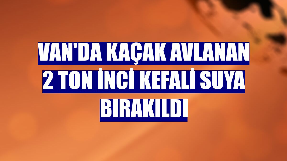 Van'da kaçak avlanan 2 ton inci kefali suya bırakıldı