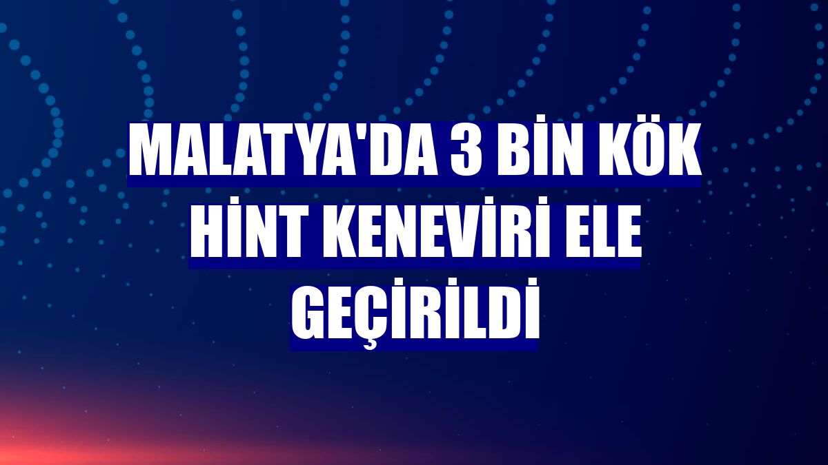 Malatya'da 3 bin kök Hint keneviri ele geçirildi