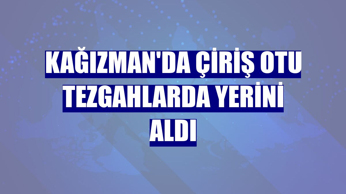Kağızman'da çiriş otu tezgahlarda yerini aldı